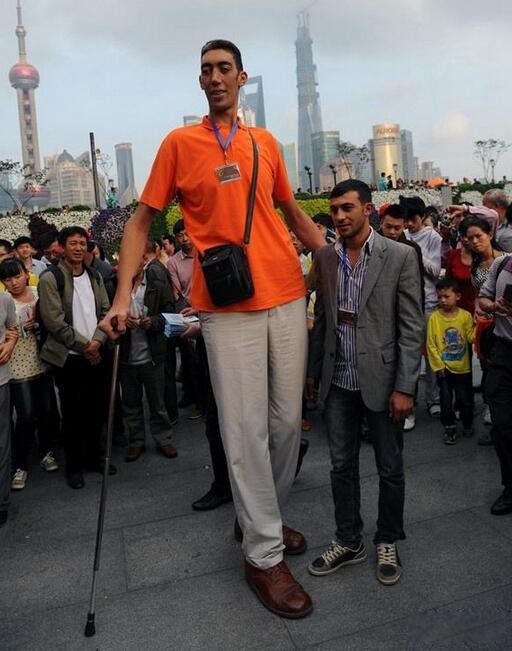 ��ߵ����ն�̹����ɭ�ж�� �ն�̹����ɭ�ͳ�����ʲô��