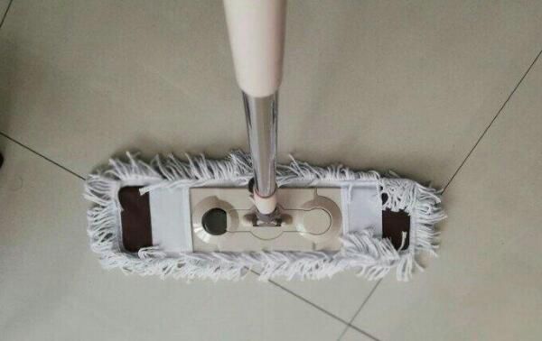 ��ש�ذ��ϵ�С���� ��ש�ϵ���ʲô��÷����ϸɾ�