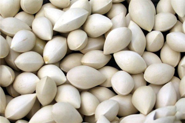 �׹������ӵĹ�ʵ�� �׹���ʳ�÷����ͽ���