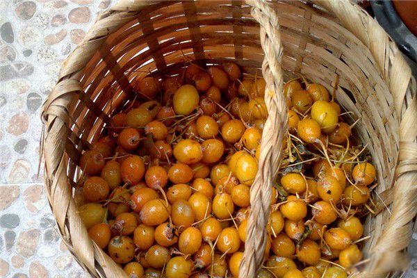 �׹������ӵĹ�ʵ�� �׹���ʳ�÷����ͽ���