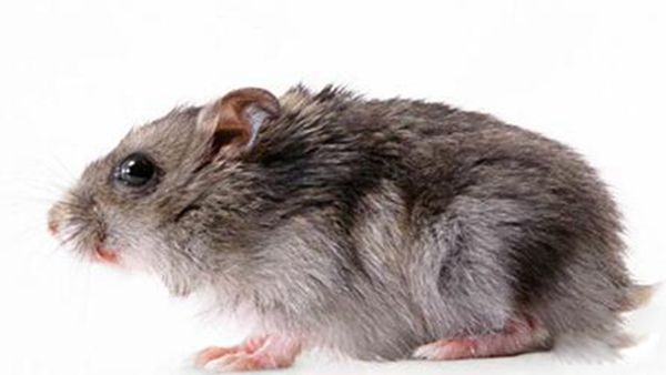 �������˴���ʲôΣ�� ������������ô�ܳ�������