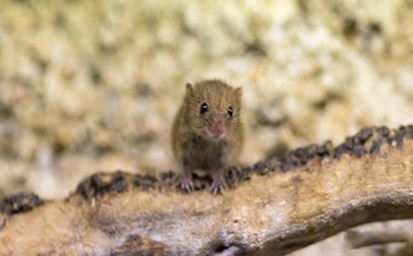 �������˴���ʲôΣ�� ������������ô�ܳ�������