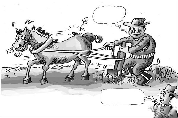 ��ӬЧӦ��ʲô��˼ ��ӬЧӦ�����ִ��쵼�ߵ���ʾ����Щ