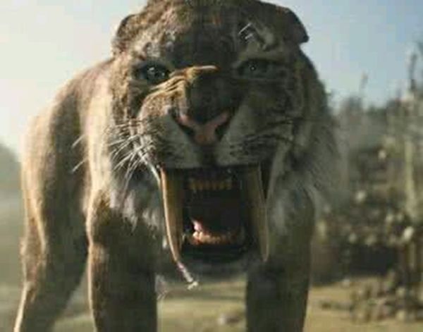 �б�ʨ�ͽ��ݻ�˭���� �б�ʨ�ͽ��ݻ����Ͷ��