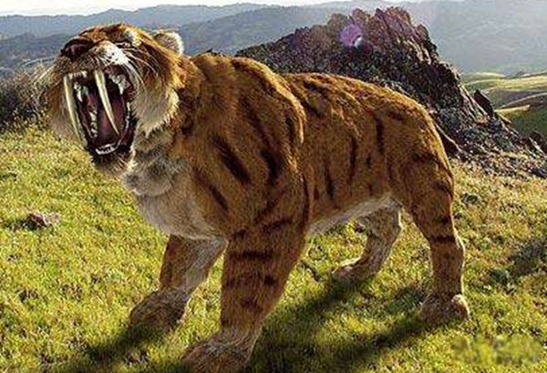 �б�ʨ�ͽ��ݻ�˭���� �б�ʨ�ͽ��ݻ����Ͷ��