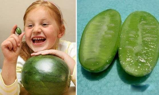 ��С����Ʒ���ж�С Ĵָ������ϳ�ʲô��