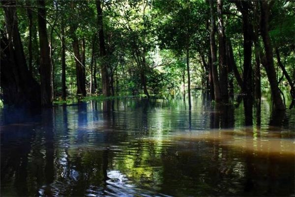 ����ѷ���ӵ��ж���� ����ѷ�ӵ��°��ӵ�����ж��