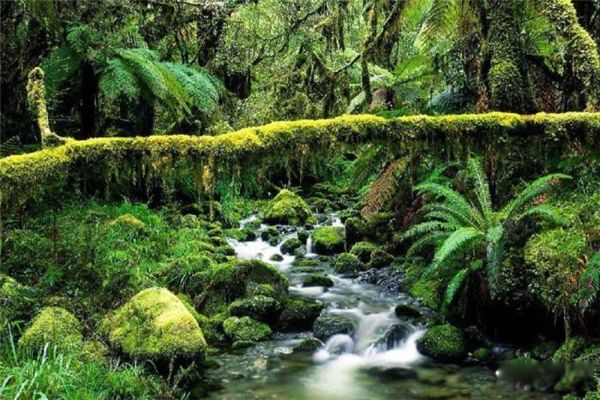 ����ѷ���ӵ��ж���� ����ѷ�ӵ��°��ӵ�����ж��