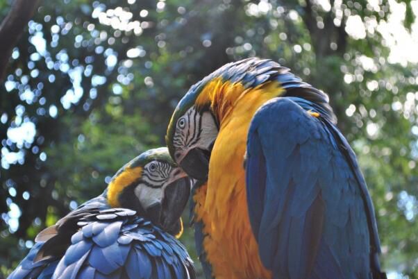 ������������ʲôƷ�� �����������Ǽ�����������