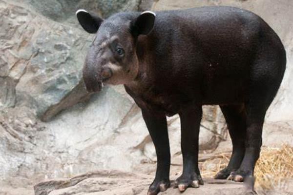 ��������ʲô���� ��������ʲô����ͼƬ