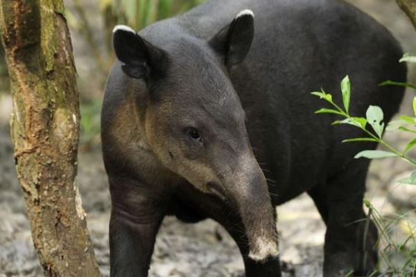 ��������ʲô���� ��������ʲô����ͼƬ