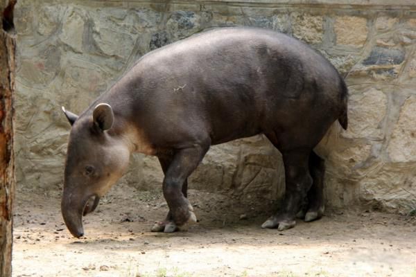 ��������ʲô���� ��������ʲô����ͼƬ