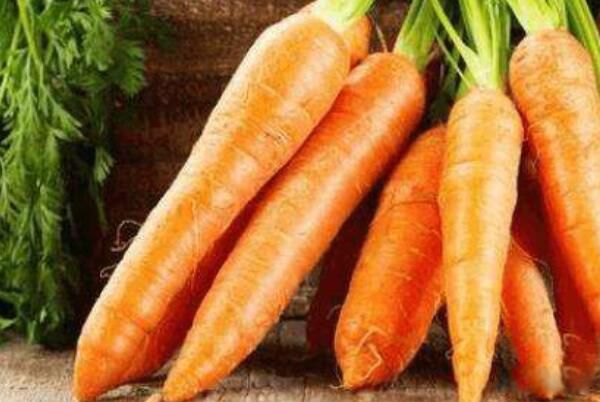 ���س�ʲô�߲˺�ʲô�߲�ͨ��� �������µ������߲���ʲô