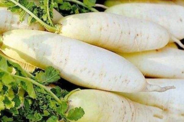 ���س�ʲô�߲˺�ʲô�߲�ͨ��� �������µ������߲���ʲô