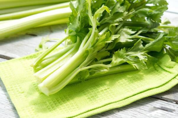 ���س�ʲô�߲˺�ʲô�߲�ͨ��� �������µ������߲���ʲô