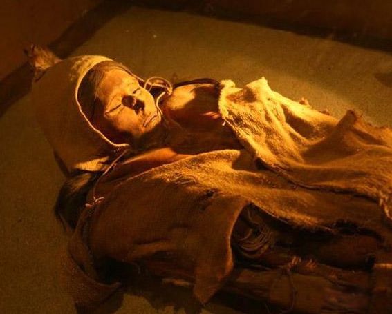 ¥��������������¼�� ¥�������Ĵ�˵��Ҫ���ݸ���