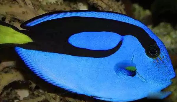 ������������ͼƬ��ȫ��ʲô�� �������ĺ�������ǰʮ