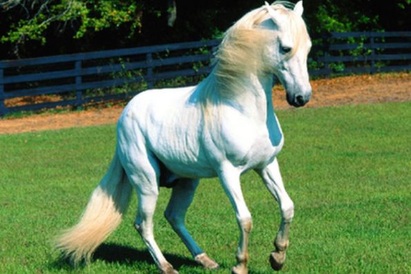 �����������а�ǰ����(�ֱ���˭������) ��¬����������˭