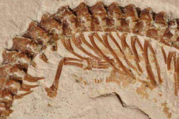 �ߵ�������˭ �ߵ��������������ˮ������