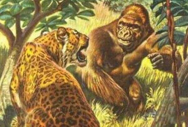 ������������������ʲô ������ʲô����