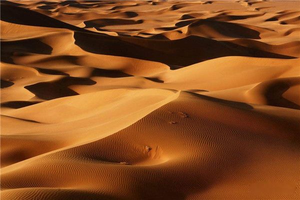 ������ɳĮ������ж�� ������ɳĮ�γ�ԭ��