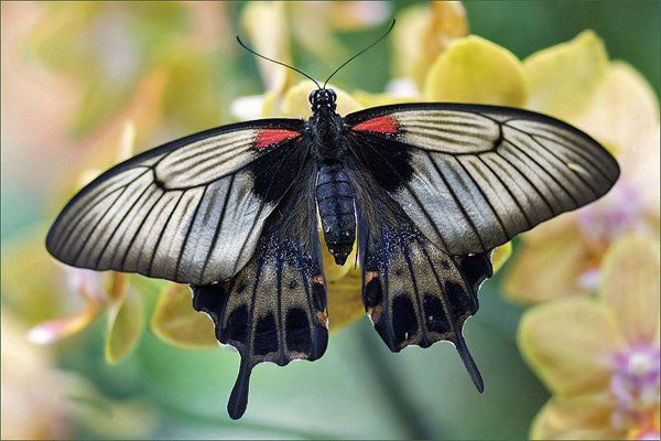 �������˵�ʱ���з����ʲô �����ʲô���ӵ�