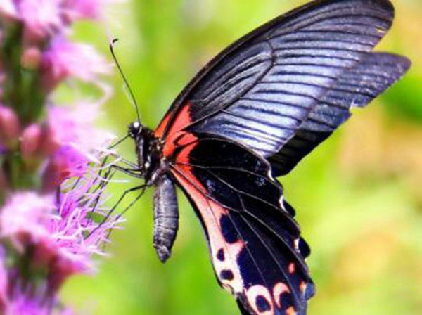 �������˵�ʱ���з����ʲô �����ʲô���ӵ�