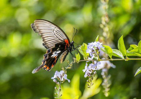 �������˵�ʱ���з����ʲô �����ʲô���ӵ�