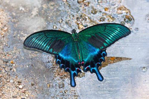 �������˵�ʱ���з����ʲô �����ʲô���ӵ�