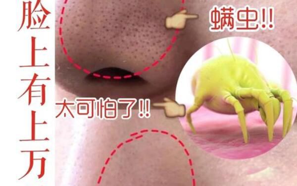 ����ҧ�ĸ���ͼƬ ����ҧ����ʲô����ͼ