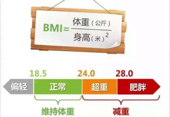 bmi����ָ����ô���� bmi����ֵ��Χ�Ƕ���