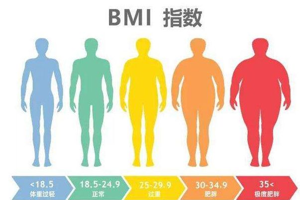 bmi����ָ����ô���� bmi����ֵ��Χ�Ƕ���