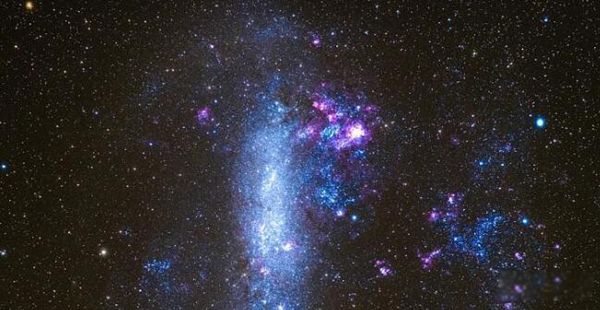 ������������ֱ��������ϵ�Ա� �����������ƾ���λ��������