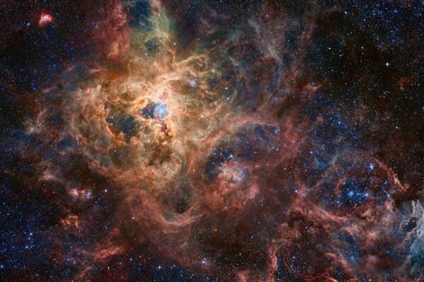 ������������ֱ��������ϵ�Ա� �����������ƾ���λ��������