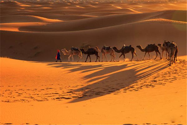 ������ɳĮ������ж�� ������ɳĮ�γ�ԭ��