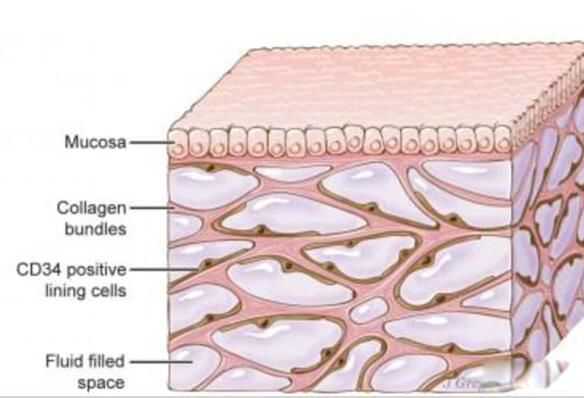 ��ѧ�ҷ�����������ʲô �������ѧ�����ⷢ��������