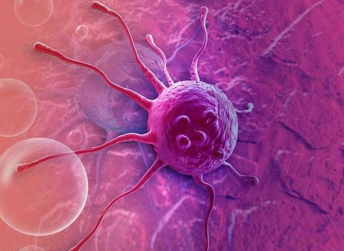 ��ѧ�ҷ�����������ʲô �������ѧ�����ⷢ��������