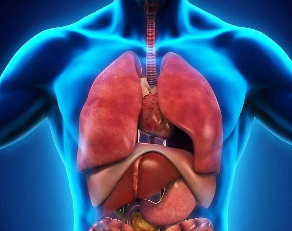 ��ѧ�ҷ�����������ʲô �������ѧ�����ⷢ��������