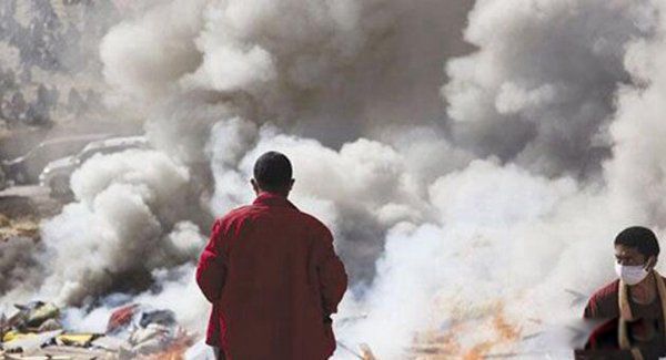 ��ֲ���ɥ����ʽ��ʲô ȫ����ֲ��������а�ǰʮ��