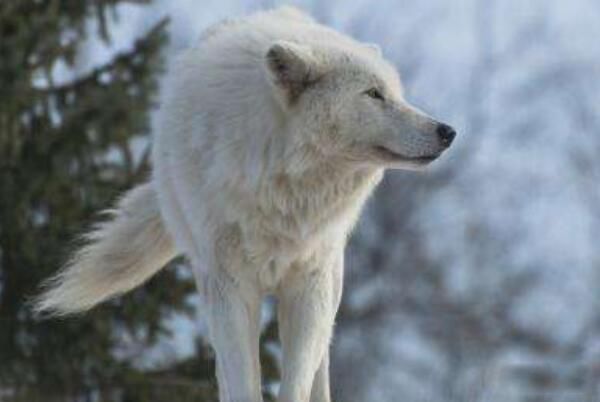 ʲô�ǿ����װ��� �����װ����Ǳ���ʻ��ǰ����