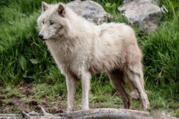 ʲô�ǿ����װ��� �����װ����Ǳ���ʻ��ǰ����