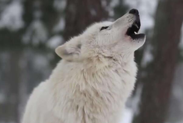 ʲô�ǿ����װ��� �����װ����Ǳ���ʻ��ǰ����