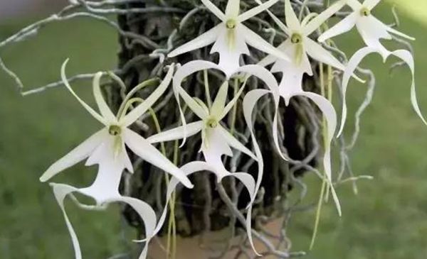 ����Ϊ��������߹����ʲô��? ��߹����صĻ�����Щ����