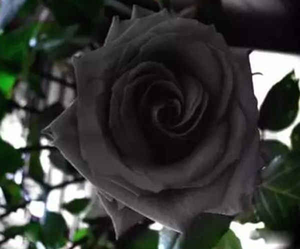 ����Ϊ��������߹����ʲô��? ��߹����صĻ�����Щ����