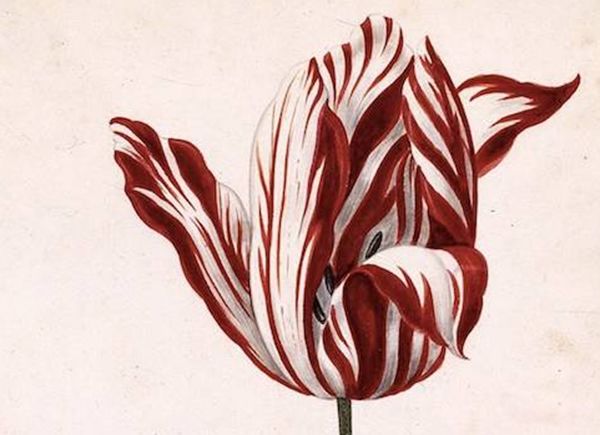 ����Ϊ��������߹����ʲô��? ��߹����صĻ�����Щ����