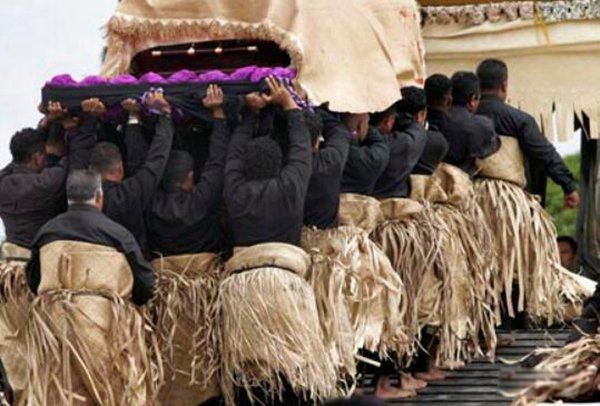 ��ֲ���ɥ����ʽ��ʲô ȫ����ֲ��������а�ǰʮ��