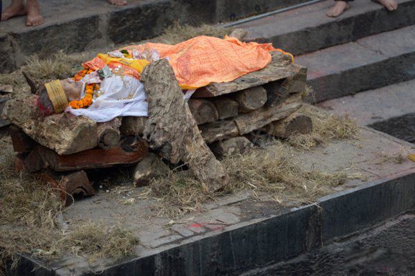 ��ֲ���ɥ����ʽ��ʲô ȫ����ֲ��������а�ǰʮ��