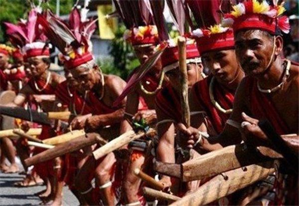 ��ֲ���ɥ����ʽ��ʲô ȫ����ֲ��������а�ǰʮ��