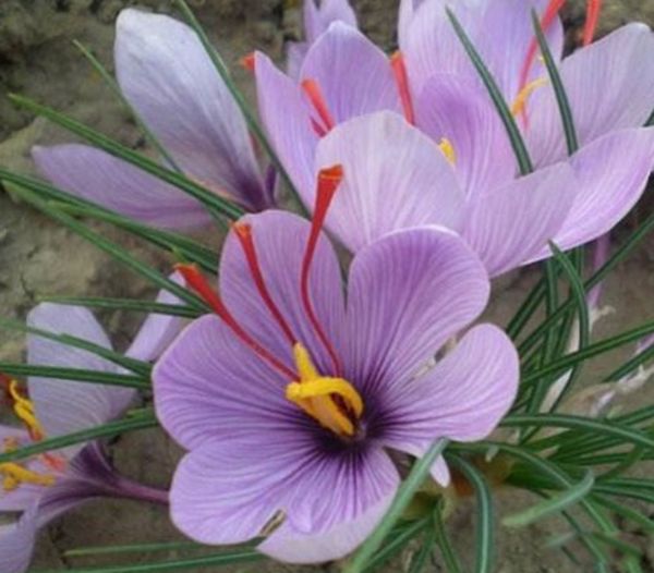 ����Ϊ��������߹����ʲô��? ��߹����صĻ�����Щ����