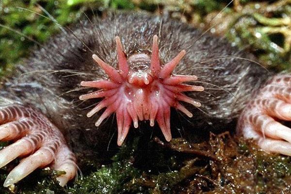 �Ǳ�������ʲô���� �Ǳ��������۾���?���ӵ�����